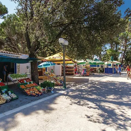 Gorgeous In Apartment